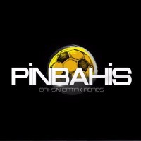 Pinbahis logo - Similar company to Okebet