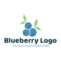Blueberry Research logo - Similar company to Gaslight Group
