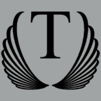 Threshold Security and Risk Management logo - Similar company to Security Minds Group Ltd