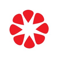Centro Group Professional TM logo - Similar company to Vva Business Consulting
