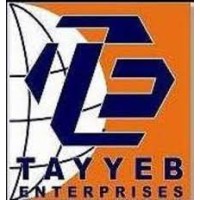 Tayyeb Enterprises logo - Similar company to Allum