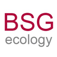 BSG Ecology logo - Similar company to Thomson Environmental Consultants