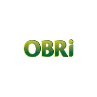 OBRI Africa logo - Similar company to Tehamaspace Innovation Hub