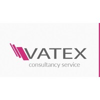 VATEX consultancy logo - Similar company to Vatex