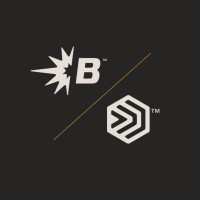Bernard & Tregaskiss logo - Similar company to Ring-O-Matic