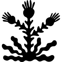 BOUCHE • Kombucha logo - Similar company to Designated Drinks