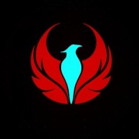 Fleety Web Solutions