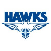 Perry Lakes Hawks logo - Similar company to Summit Advisory Ltd