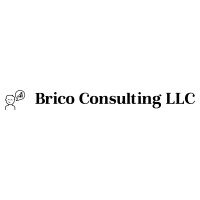 Brico Consulting Llc