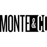 Monte&Co logo - Similar company to Netmark