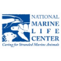 National Marine Life Center logo - Similar company to Cordin Scientific Imaging
