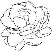 Maarte.co logo - Similar company to Talented It, Inc.
