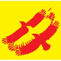 Al Mas Cargo L.L.C logo - Similar company to R-Ed Workforce Sourcing