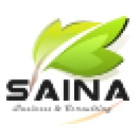 SAINA Engineering Consulting logo - Similar company to Eray