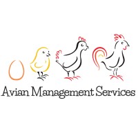 Avian Management Services- AMS logo - Similar company to Aytav Tavukçuluk Eki̇pmanlari I Poultry Equipment