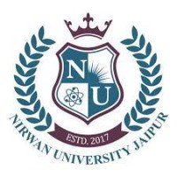 Nirwan University Jaipur logo - Similar company to Nirwan University Jaipur