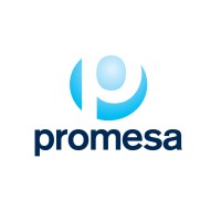 Promesa Group (Member of MSI Global Alliance) logo - Similar company to Promesa, Inc.