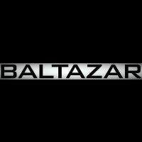 Baltazar AB logo - Similar company to Baron Advice Ab