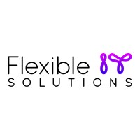 Flexible IT Solutions logo - Similar company to Denmark-It