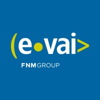 E-VAI - FNM Group logo - Similar company to Linea Analytics