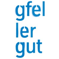 Sozialpädagogisches Zentrum Gfellergut logo - Similar company to Sora Rötel