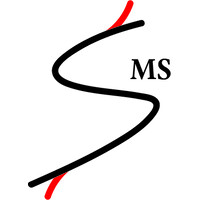 Steady Marine Services Pte. Ltd. logo - Similar company to Steyr Motors Australia