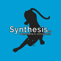 Synthesis srl logo - Similar company to Niuko Innovation & Knowledge