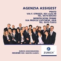 Agenzia Zurich - Assigest sas logo - Similar company to Shenzhen N-Net High-Tech Co.,Ltd