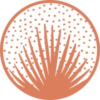 Palmetto | Interiors & Renovations