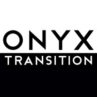 Onyx Transition logo - Similar company to Flareintel