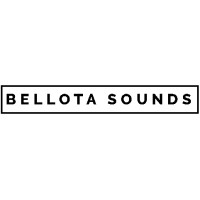 Bellota Sounds logo - Similar company to Fonds Santé Diabète - Ceritd