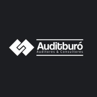 Auditburó Auditores y Consultores Cía. Ltda. logo - Similar company to Web Systems Design