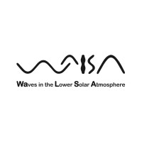 WaLSA Team logo - Similar company to Medtech Talent Solutions