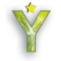 Young & Bright Consult