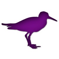 Purple Piper Technology