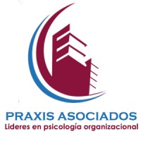 Praxis Asociados Ltda. logo - Similar company to Praxis Srl