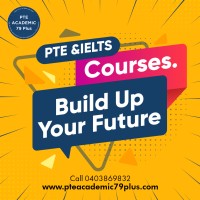 PTE 79+ Coaching Sydney logo - Similar company to Datavvy