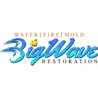 Big Wave Restoration logo - Similar company to Rex Environmental