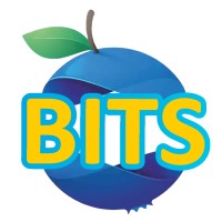 Blueberry IT Services logo - Similar company to Avcore