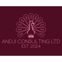 Andji Consulting Ltd logo - Similar company to Anji Consulting Inc
