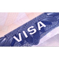Visa Official logo - Similar company to Visa Submission Services