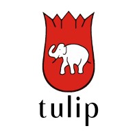 TULIP CREATIONS PVT LTD logo - Similar company to Niscka