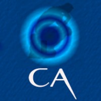 The Concept Architect