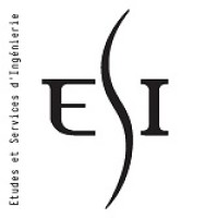 bet ESI logo - Similar company to Ingenium Structures