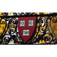 Ivy League Essay Consulting logo - Similar company to Ivy League Admissions Llc