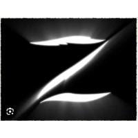ZELTA logo - Similar company to Autonomiclub