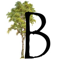 Birch Accounting & Tax Services Ltd. logo - Similar company to Backroad Advisory - Professional Corporation