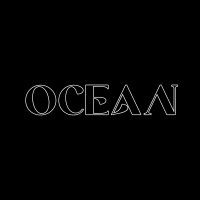 Ocean Yazilim logo - Similar company to Skymeta Software Company