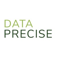 Data Precise logo - Similar company to Backbone Consultants (Now Part Of Clearwater)