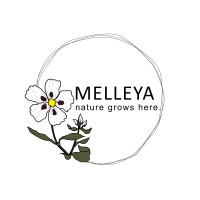 Melleya logo - Similar company to Samrise